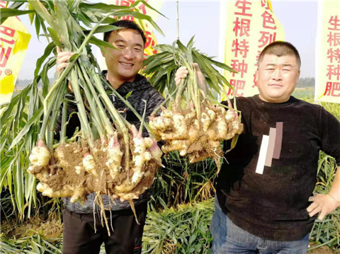 水溶肥，翠姆，拉姆拉