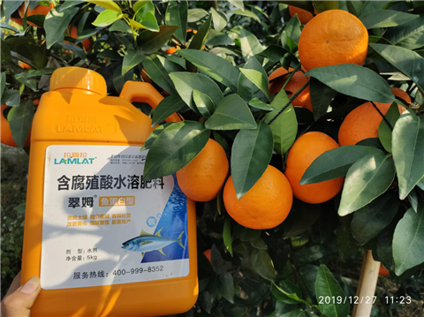 水溶肥，翠姆，拉姆拉