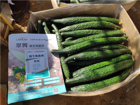 葉面肥，安碧解，除草劑藥害