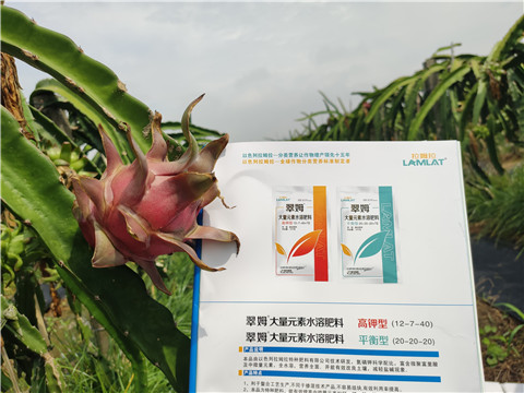 進(jìn)口水溶肥，拉姆拉，翠姆