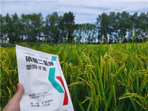 磷酸二氫鉀，拉姆拉，翠姆