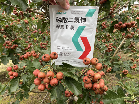 磷酸二氫鉀，拉姆拉，翠姆