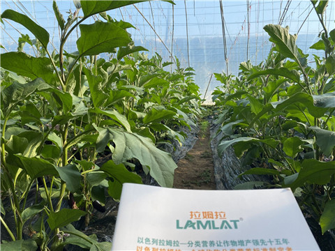 進(jìn)口水溶肥，翠姆，拉姆拉