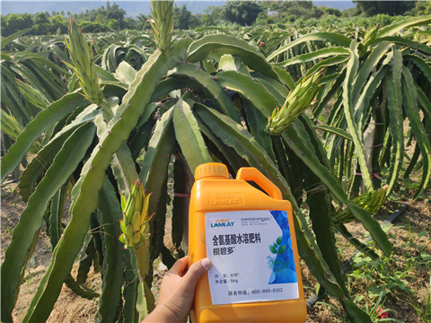 水溶肥，拉姆拉，翠姆