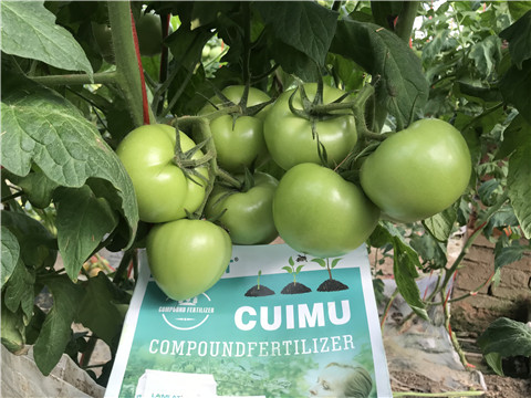 葉面肥，磷酸二氫鉀，微生物菌劑，翠姆，拉姆拉