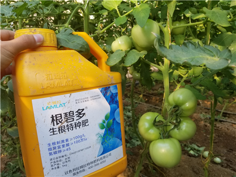 葉面肥，磷酸二氫鉀，微生物菌劑，翠姆，拉姆拉