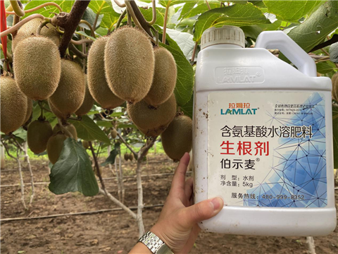 水溶肥，生根劑，微生物菌劑，伯示麥，拉姆拉