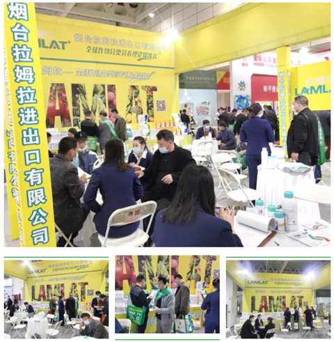水溶肥，拉姆拉，翠姆