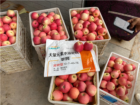 水溶肥，大量元素水溶肥，翠姆，拉姆拉