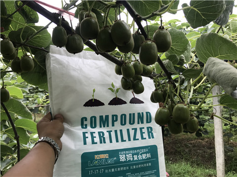 顆粒水溶肥，拉姆拉，翠姆