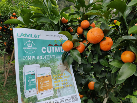 顆粒水溶肥，拉姆拉，翠姆