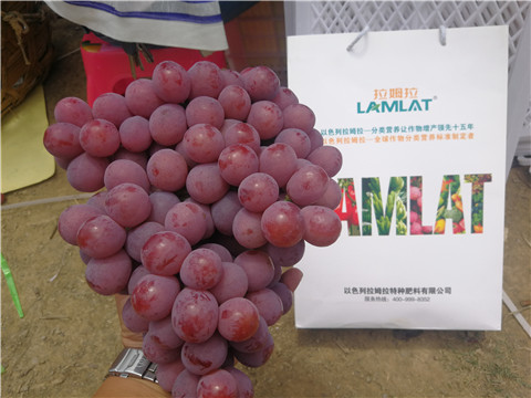 葉面肥，磷酸二氫鉀，鈣肥，翠姆，拉姆拉