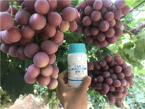 葉面肥，磷酸二氫鉀，鈣肥，翠姆，拉姆拉