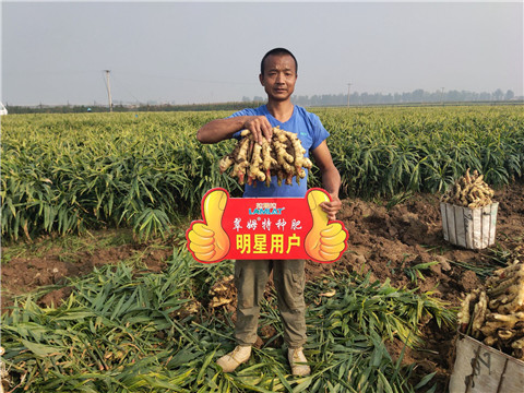 進(jìn)口水溶肥，拉姆拉，翠姆