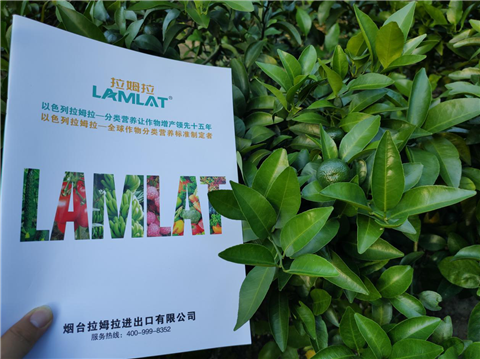 水溶肥，拉姆拉，翠姆