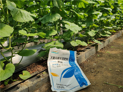 大量元素水溶肥，拉姆拉，翠姆