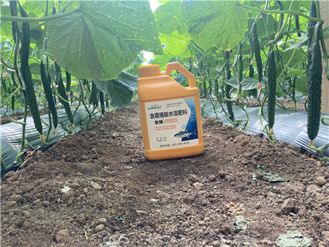 水溶肥，拉姆拉，翠姆