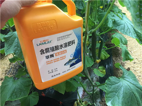 滴灌肥，拉姆拉，翠姆