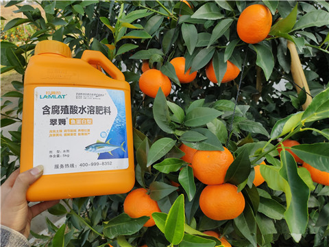 滴灌肥，拉姆拉，翠姆