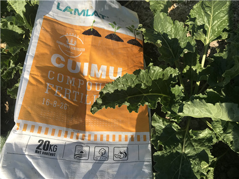 顆粒水溶肥，拉姆拉，翠姆