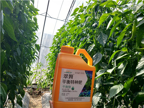 滴灌肥，拉姆拉，翠姆