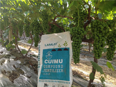 水溶肥，拉姆拉，翠姆