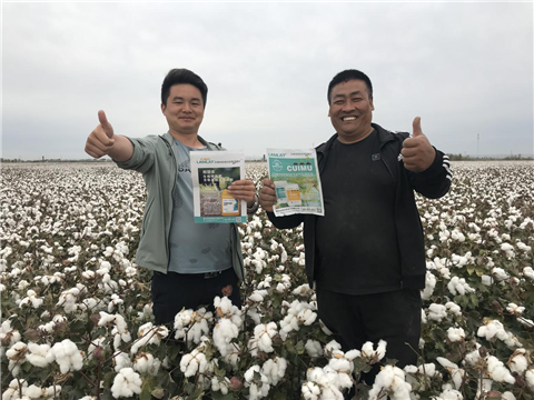 棉花，水溶肥，拉姆拉，翠姆