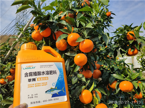 水溶肥，拉姆拉，翠姆