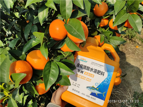 水溶肥，拉姆拉，翠姆