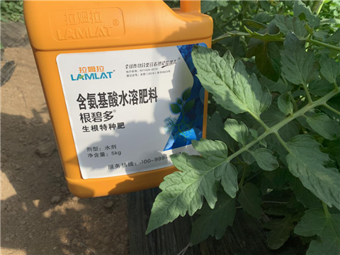 水溶肥，拉姆拉，翠姆