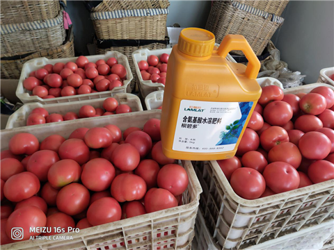 水溶肥，拉姆拉，翠姆