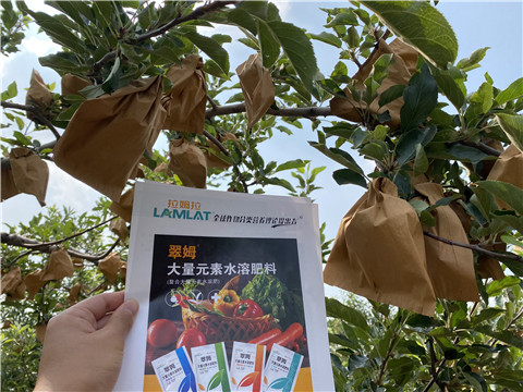 大量元素水溶肥，拉姆拉，翠姆