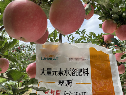 大量元素水溶肥，拉姆拉，翠姆