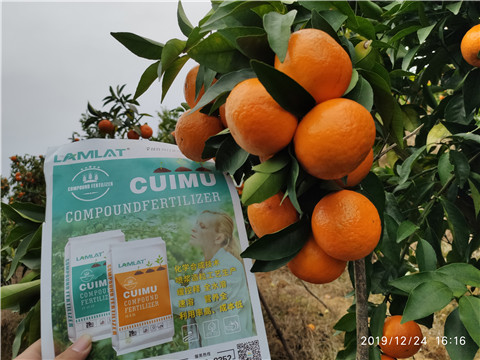 進(jìn)口水溶肥，拉姆拉，翠姆