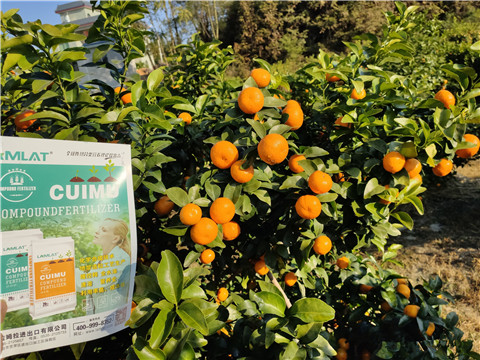 進(jìn)口水溶肥，拉姆拉，翠姆