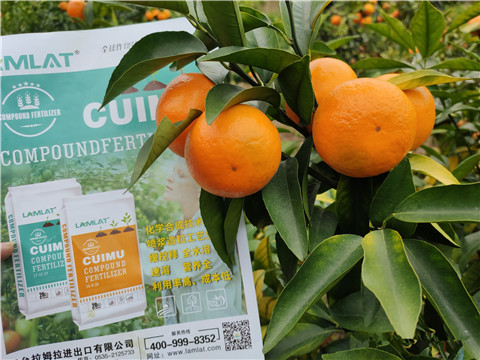 顆粒水溶肥，拉姆拉，翠姆