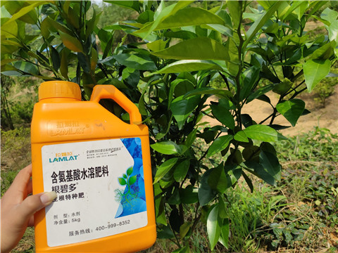 水溶肥，拉姆拉，翠姆