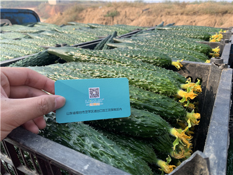 水溶肥，拉姆拉，伯示麥