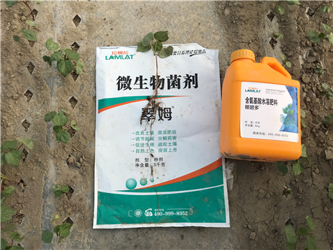 水溶肥，拉姆拉，翠姆