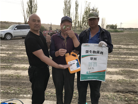 水溶肥，拉姆拉，翠姆