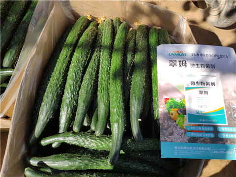 微生物菌劑，拉姆拉，翠姆