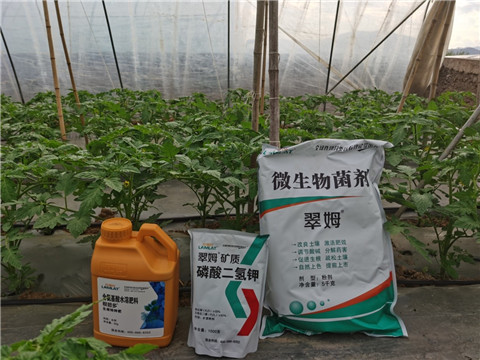 水溶肥，拉姆拉，翠姆