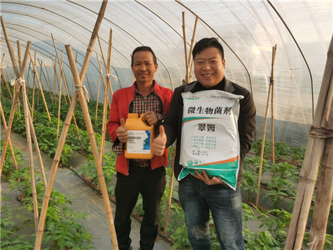 水溶肥，拉姆拉，翠姆