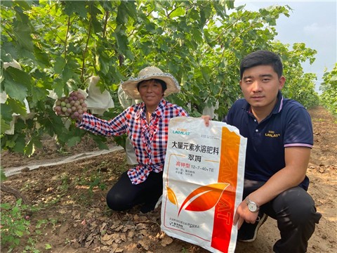 大量元素水溶肥，拉姆拉，翠姆