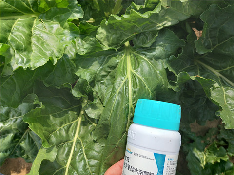 水溶肥，拉姆拉，翠姆