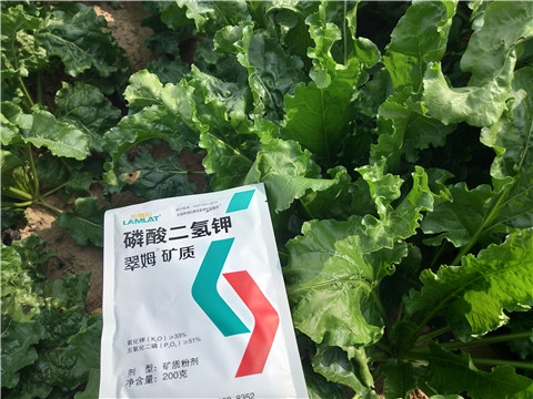 水溶肥，拉姆拉，翠姆