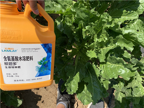 水溶肥，拉姆拉，翠姆