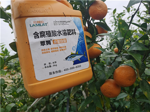 水溶肥，拉姆拉，翠姆