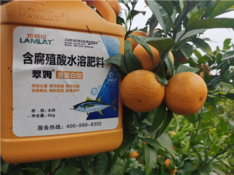 水溶肥，拉姆拉，翠姆