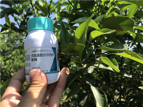 葉面肥，拉姆拉，翠姆